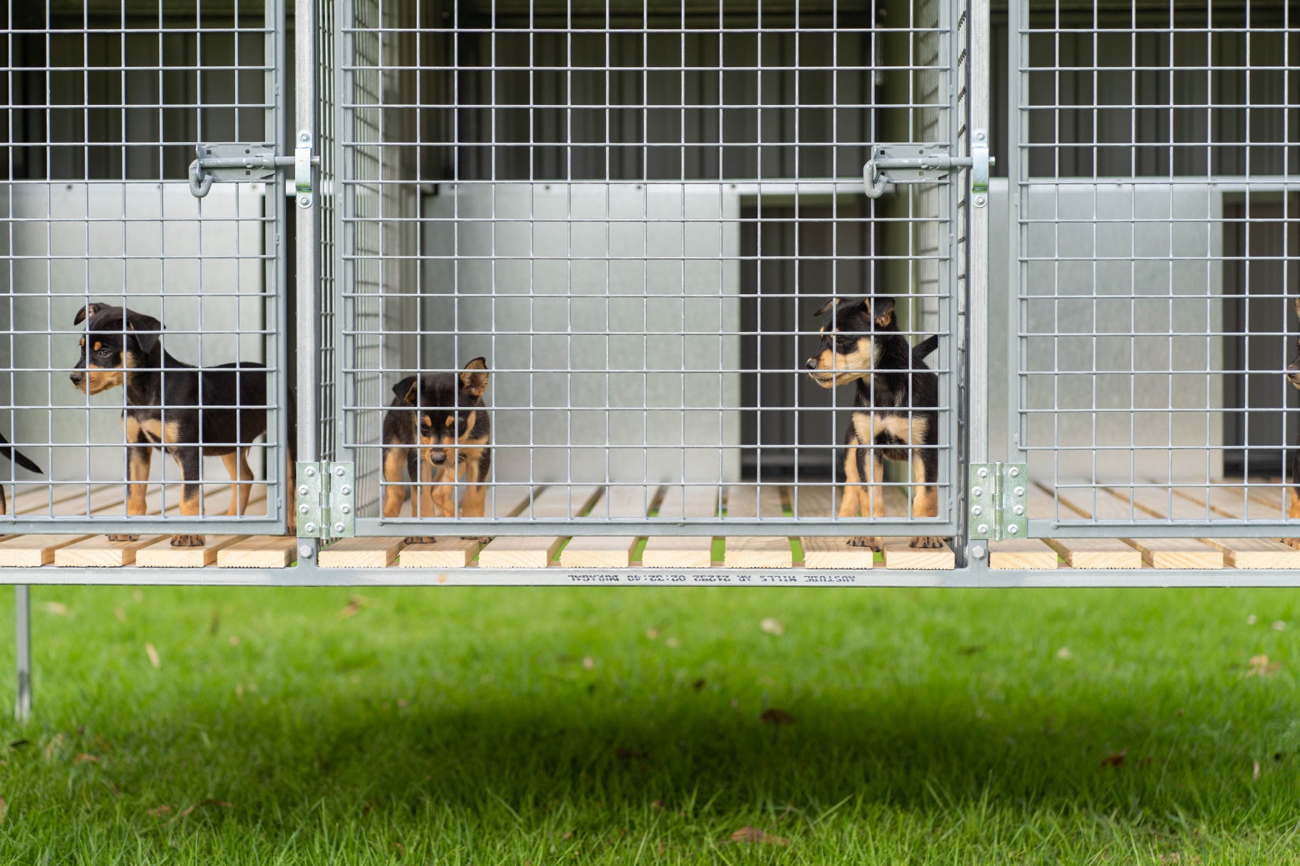 Resellers of Raised Run Dog Kennels