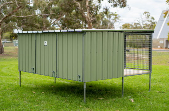 Premium 3 Bay - Assembled – Raised Run Dog Kennels