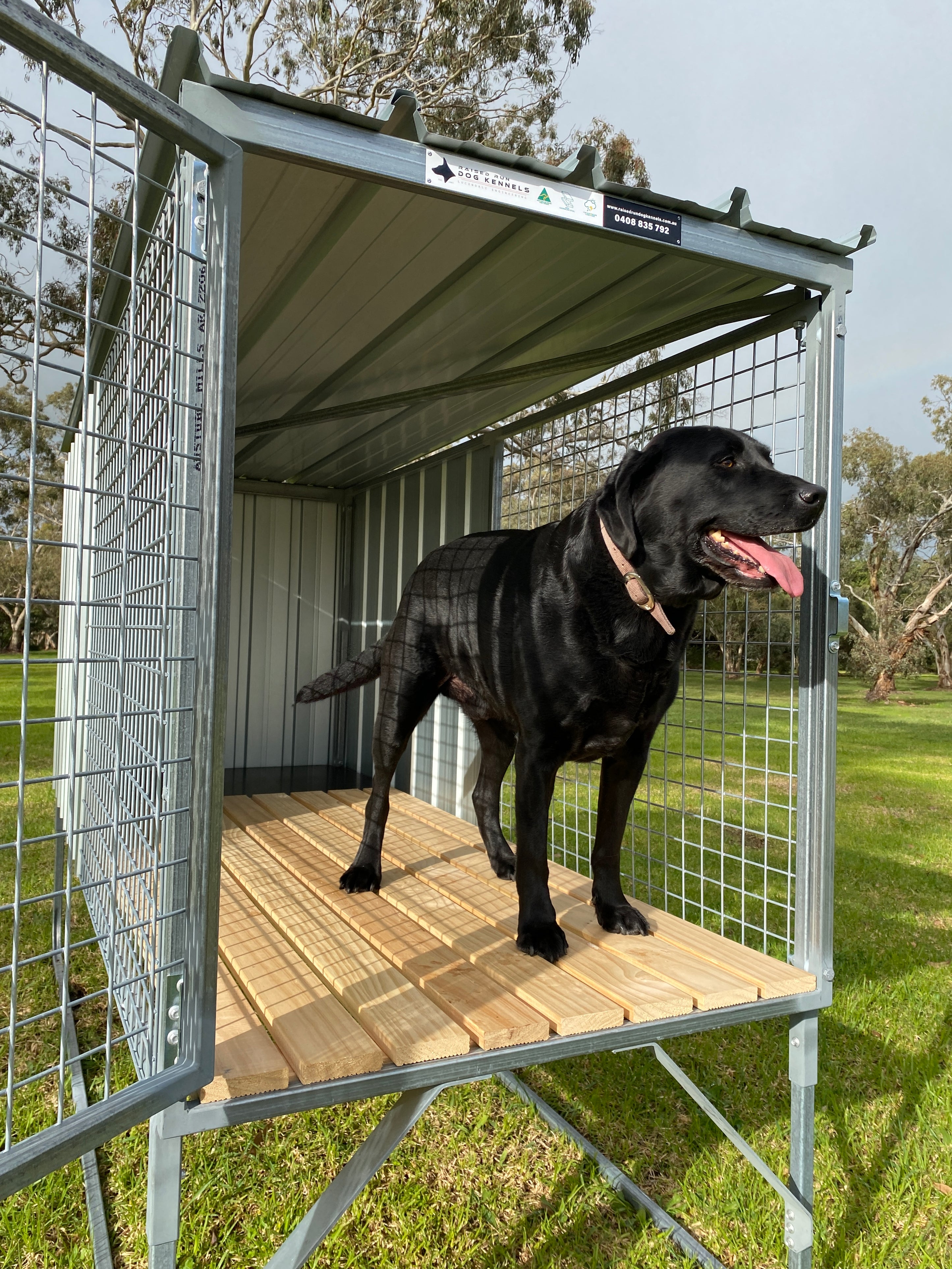 Basic 1 Bay – Assembled – Raised Run Dog Kennels