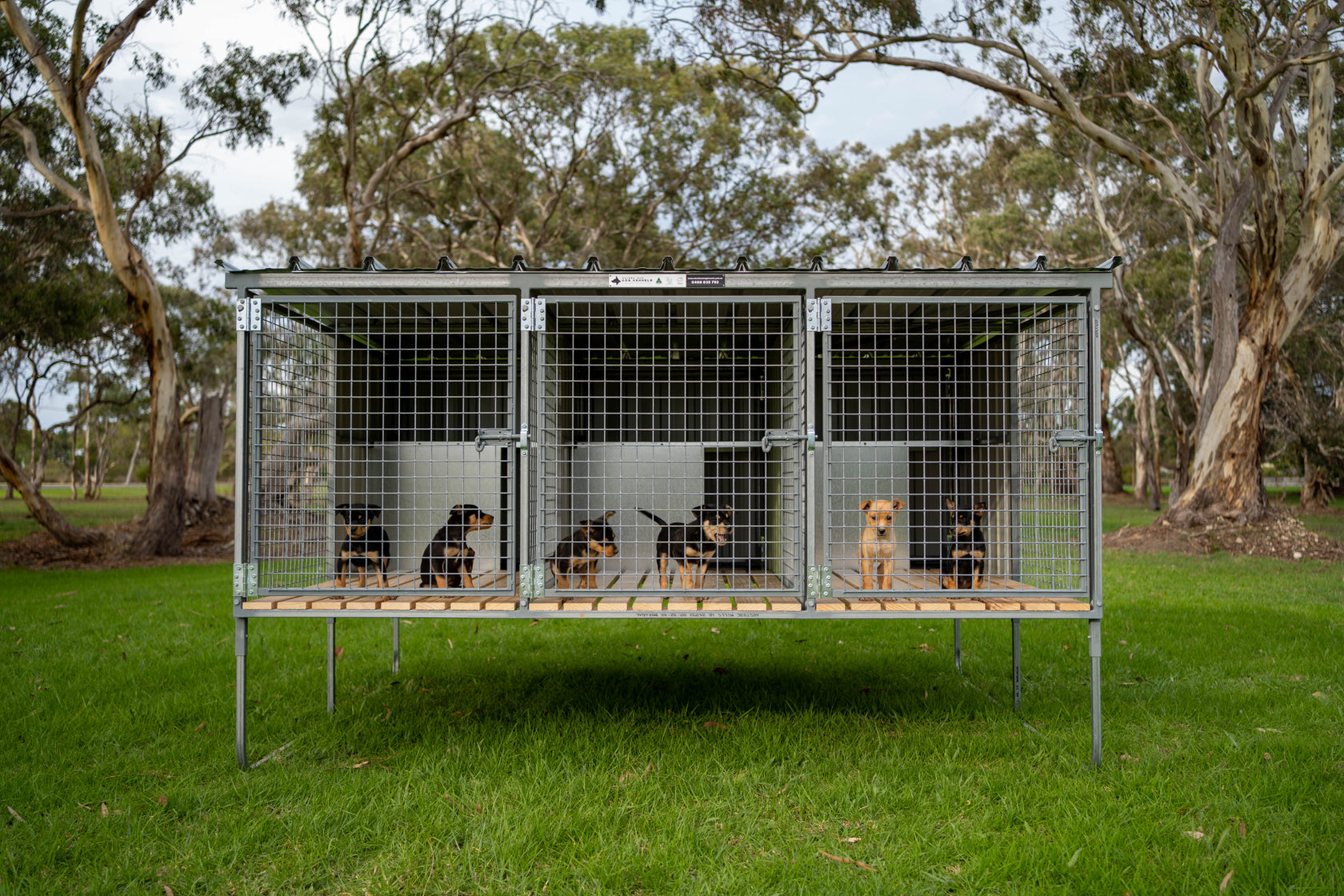 Premium 3 Bay - Assembled – Raised Run Dog Kennels